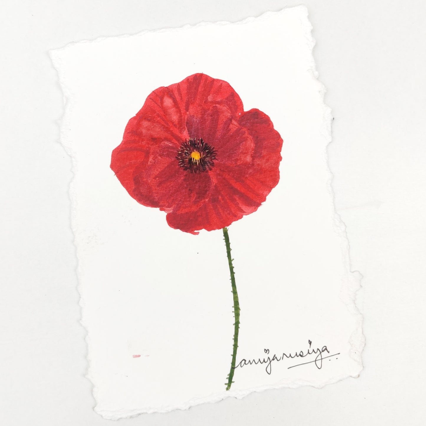 Poppy Postcard