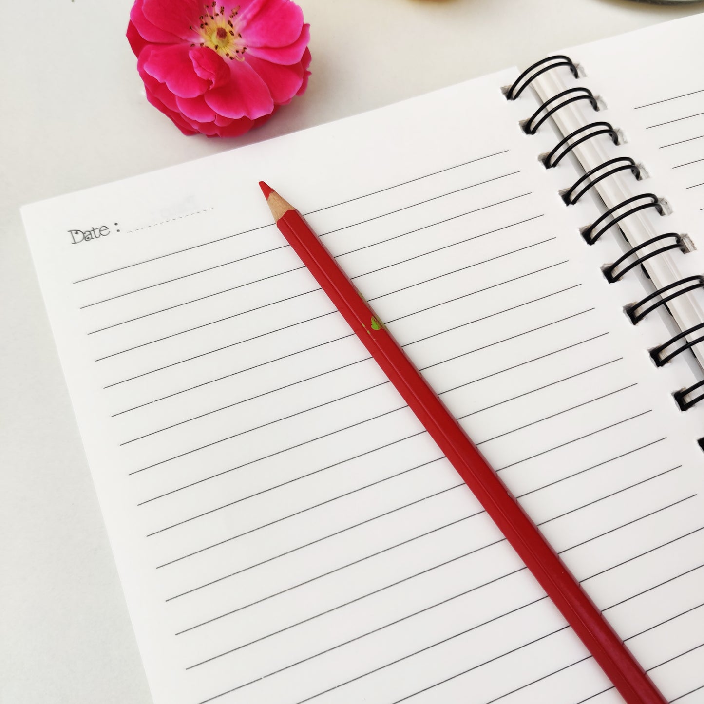 Rose Bloom Notebook | 6" X 8.5"