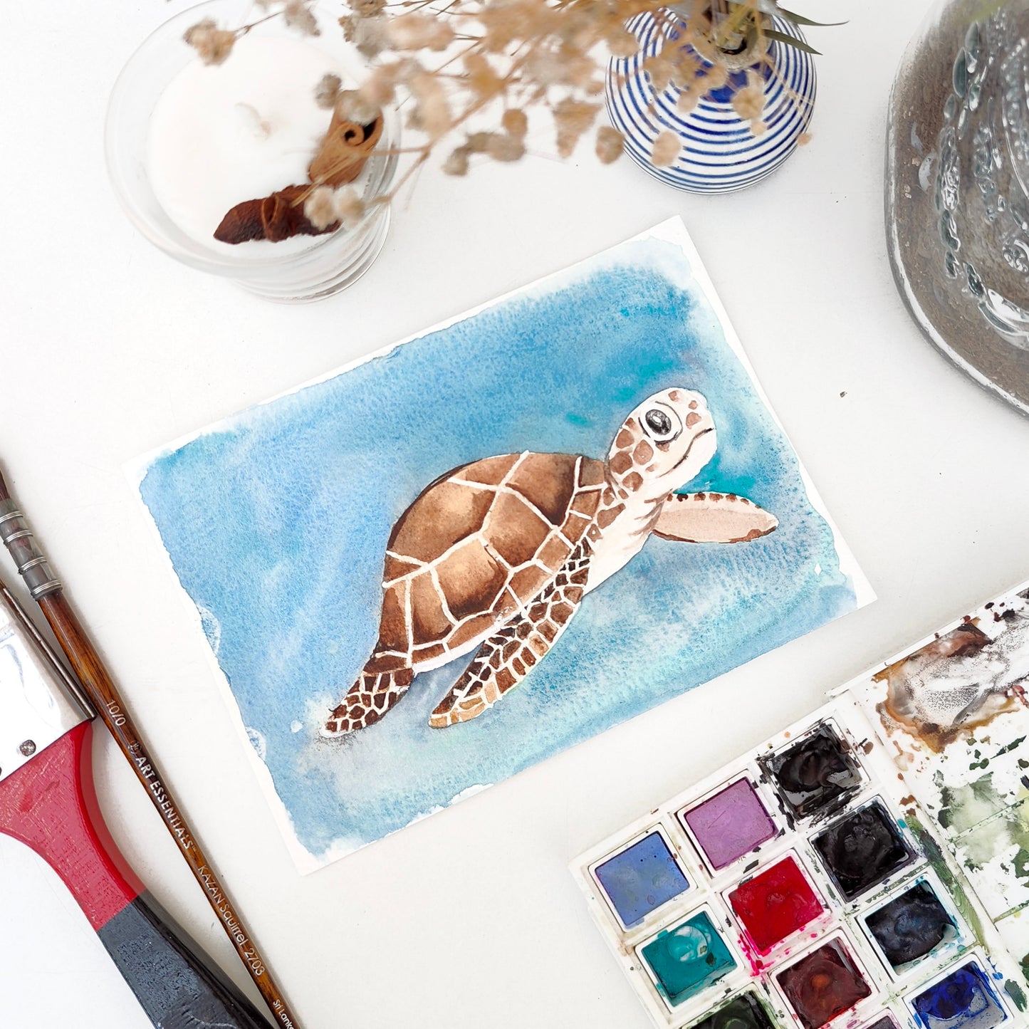 Turtle Postcard