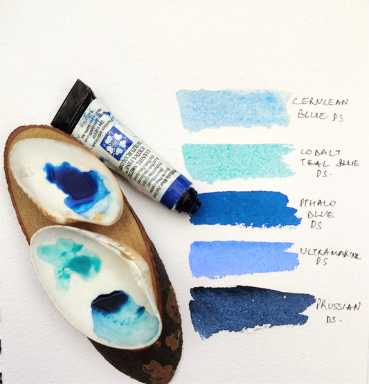 Oval Shell Palette | Natural Shells on Wood base