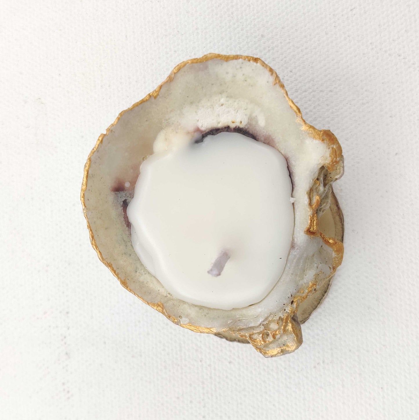 Oyster Shell round Candle | 100% Soy wax | Vanilla Scented