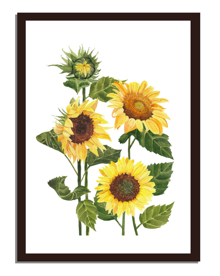 Sunflower Wall Frame